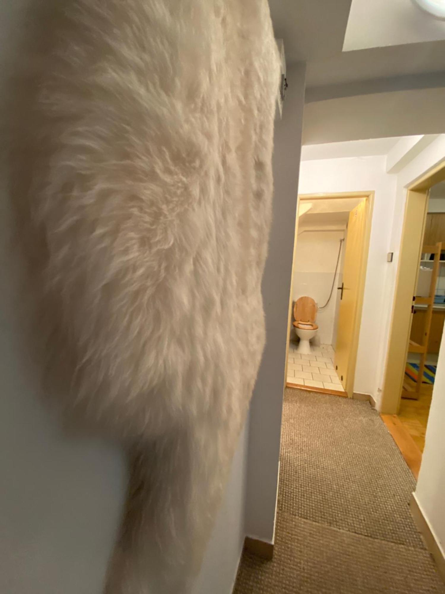 Samostatny Apartman Se Zahradou Bedrichov  Bagian luar foto
